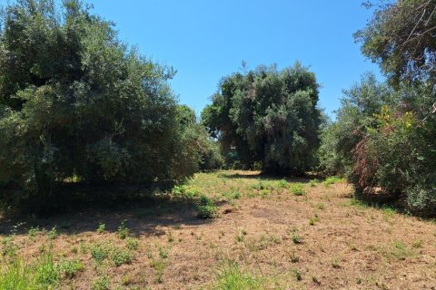 4600m² Land en Corfu, Greece No. 54230 10