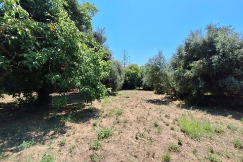 4600m² Land en Corfu, Greece No. 54230 4