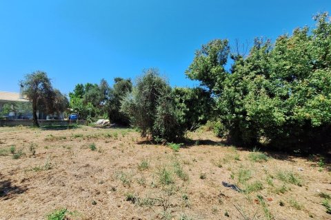 4600m² Land en Corfu, Greece No. 54230 9