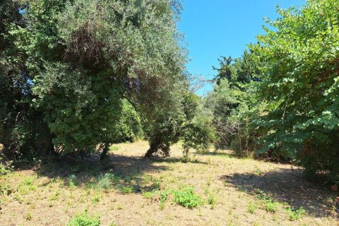 4600m² Land en Corfu, Greece No. 54230 6