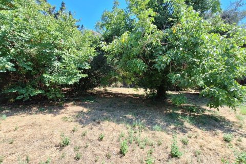 4600m² Land en Corfu, Greece No. 54230 5