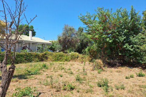 4600m² Land en Corfu, Greece No. 54230 12