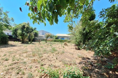 4600m² Land en Corfu, Greece No. 54230 11