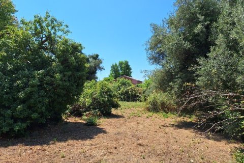 4600m² Land en Corfu, Greece No. 54230 8