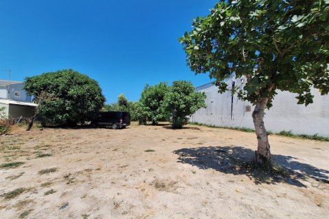 4600m² Land en Corfu, Greece No. 54230 2