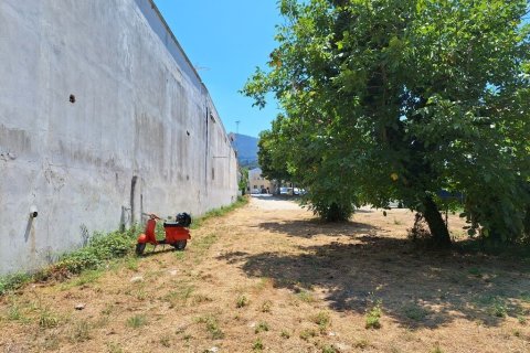 4600m² Land en Corfu, Greece No. 54230 13