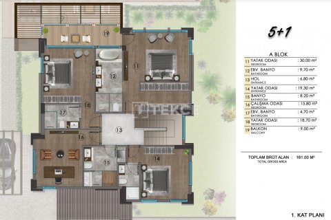 5 bedrooms Villa in An Thuy, Vietnam No. 14012 6