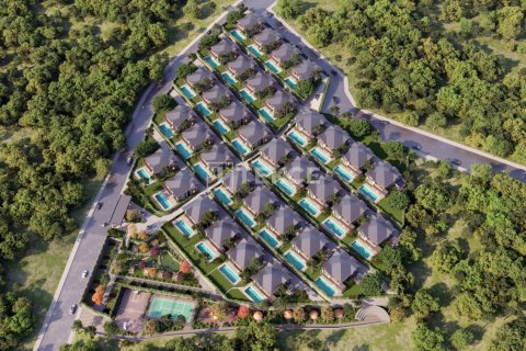 5 bedrooms Villa in An Thuy, Vietnam No. 14012 4