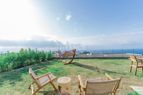 4 bedrooms Villa in Phi Dien, Vietnam No. 11717 8