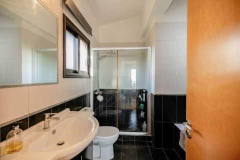 3 bedrooms Villa in Tala, Cyprus No. 66511 11