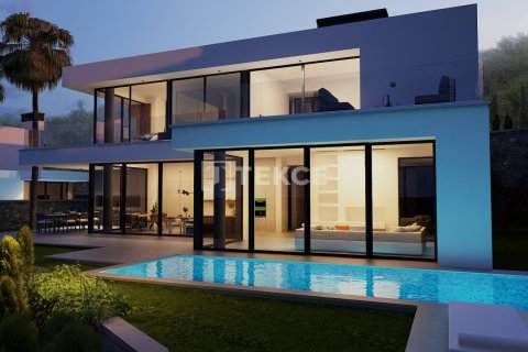 4 dormitorios Villa en Phu Ngai, Vietnam No. 22209 11