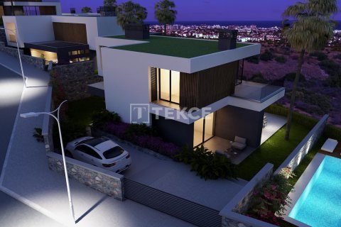 4 dormitorios Villa en Phu Ngai, Vietnam No. 22209 21