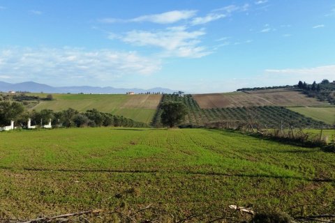 8194m² Land en Thermaic Gulf, Greece No. 59361 4