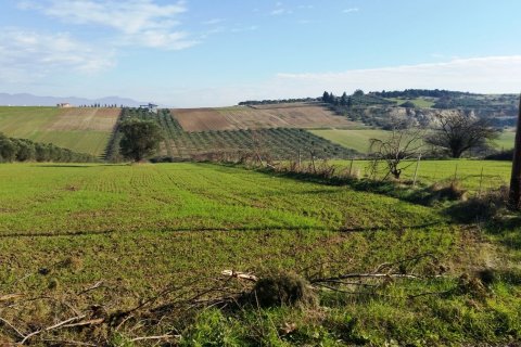8194m² Land en Thermaic Gulf, Greece No. 59361 3