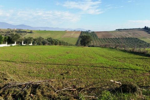 8194m² Land en Thermaic Gulf, Greece No. 59361 1