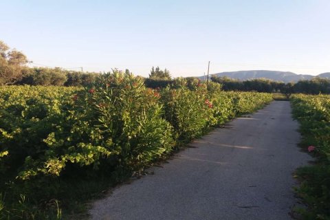 Land in Zakynthos, Greece No. 104859 6