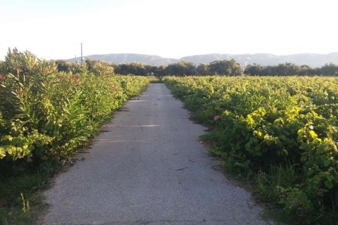 Land in Zakynthos, Greece No. 104859 3