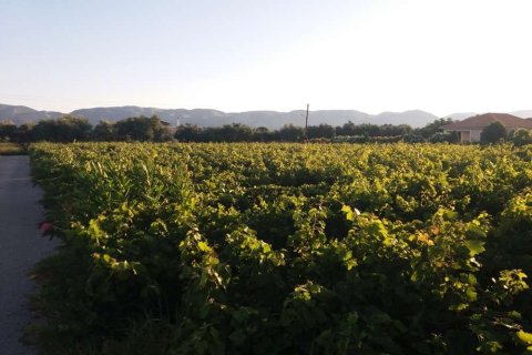 Land in Zakynthos, Greece No. 104859 8