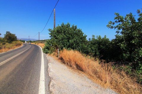 2000m² Land in Agios Nikolaos, Greece No. 55943 2