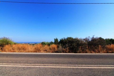 2000m² Land in Agios Nikolaos, Greece No. 55943 4