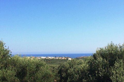 2000m² Land in Agios Nikolaos, Greece No. 55943 3