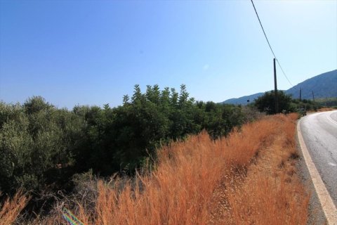 2000m² Land in Agios Nikolaos, Greece No. 55943 1