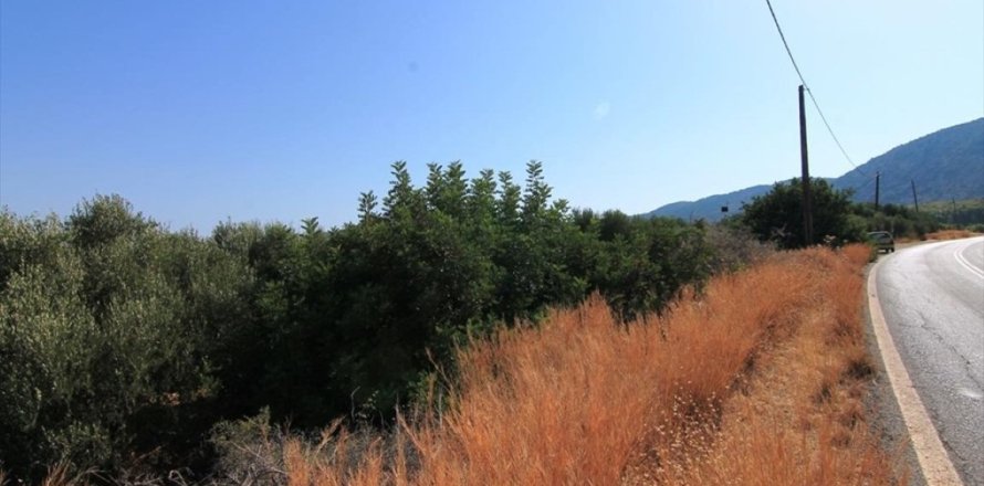 2000m² Land in Agios Nikolaos, Greece No. 55943