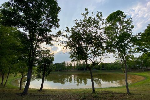 3 bedrooms House in Chiang Mai, Thailand No. 2545 16