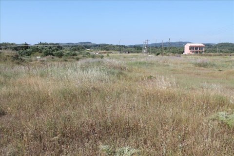 30000m² Land en Corfu, Greece No. 60179 2