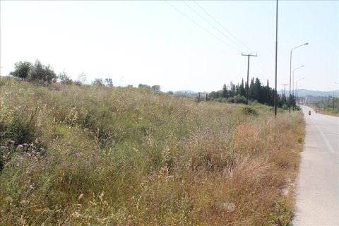 30000m² Land en Corfu, Greece No. 60179 6
