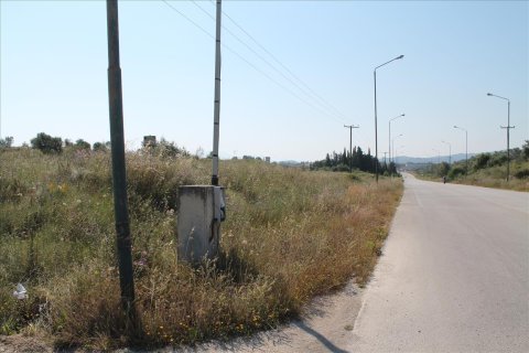 30000m² Land en Corfu, Greece No. 60179 4