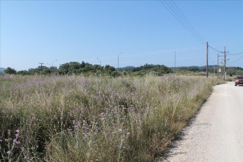 30000m² Land en Corfu, Greece No. 60179 7