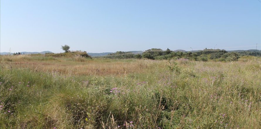 30000m² Land en Corfu, Greece No. 60179
