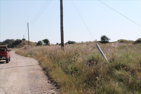30000m² Land en Corfu, Greece No. 60179 5