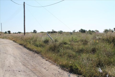 30000m² Land en Corfu, Greece No. 60179 3