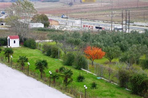 3000m² Commercial property in Thermaic Gulf, Greece No. 58955 14