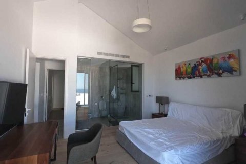 4 chambres Villa à Chloraka, Cyprus No. 77985 4