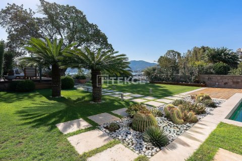 5 chambres Villa à Phi Dien, Vietnam No. 11699 13