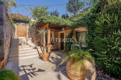 5 chambres Villa à Phi Dien, Vietnam No. 11699 15