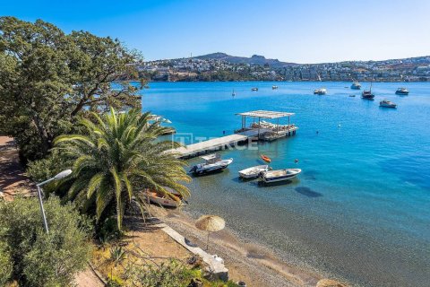 5 chambres Villa à Phi Dien, Vietnam No. 11699 6