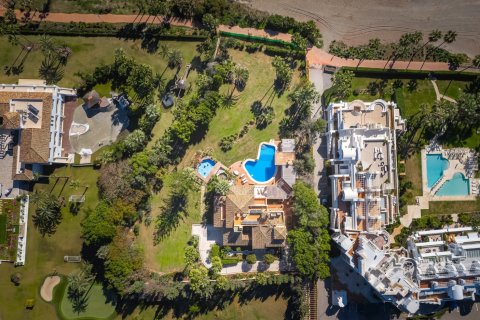 8 bedrooms Villa in Dinh An, Vietnam No. 27414 2