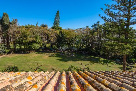 8 bedrooms Villa in Dinh An, Vietnam No. 27414 12