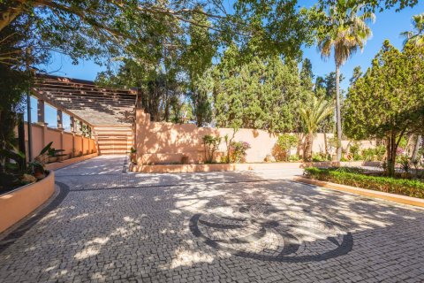 8 bedrooms Villa in Dinh An, Vietnam No. 27414 30