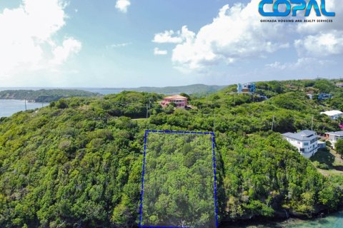 1594.31m² Land in Egmont, Grenada No. 123208