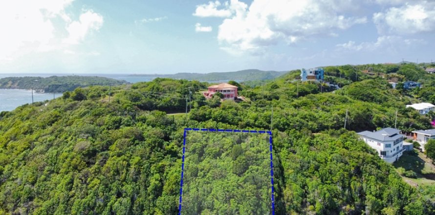 1594.31m² Land in Egmont, Grenada No. 123208