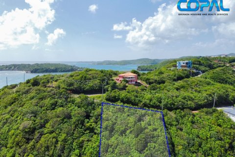 1594.31m² Land in Egmont, Grenada No. 123208 2