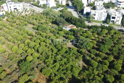 18000m² Land in Phi Dien, Vietnam No. 89742 4