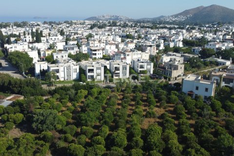 18000m² Land in Phi Dien, Vietnam No. 89742 6