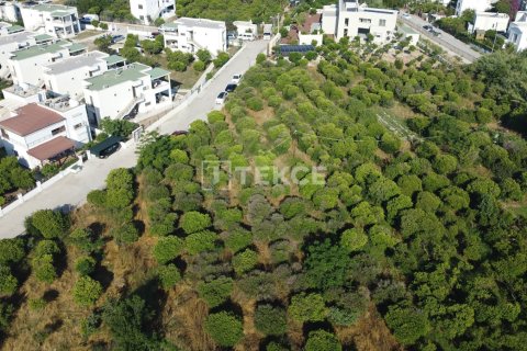 18000m² Land in Phi Dien, Vietnam No. 89742 7