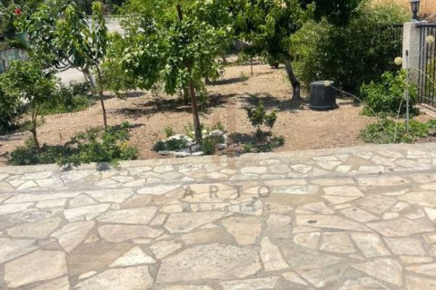 3 chambres House à Limassol, Cyprus No. 74157 9